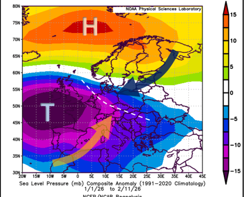 Ein besonderer Winter