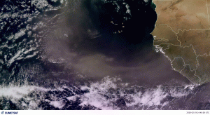 Satelliten und Sahara Staub in Suriname 3