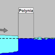 Polynjen besondere Orte in polaren Gebieten 1
