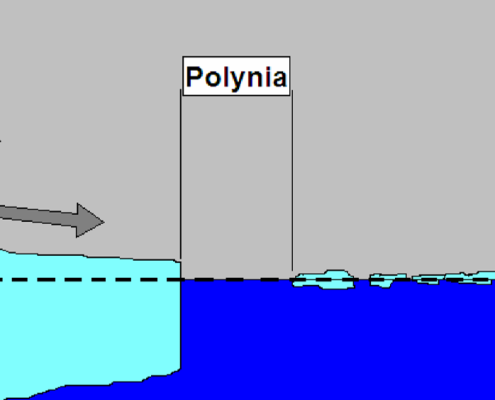 Polynjen besondere Orte in polaren Gebieten 1