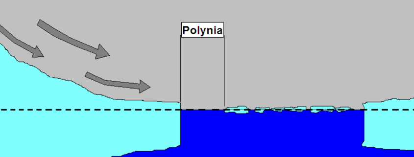 Polynjen besondere Orte in polaren Gebieten 1