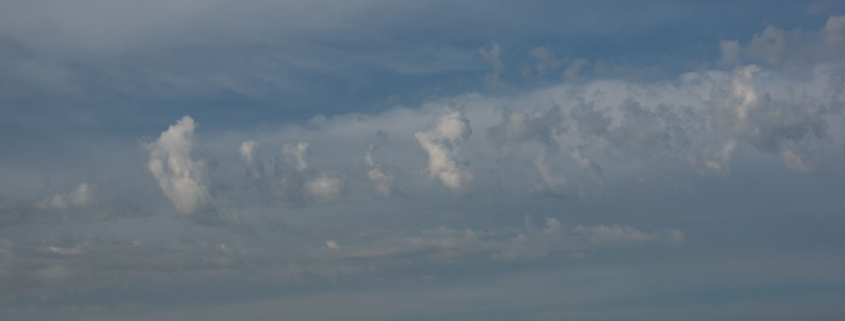 Von Türmchen, Fasern und Linsen 1 Von Tuermchen Fasern und Linsen 1