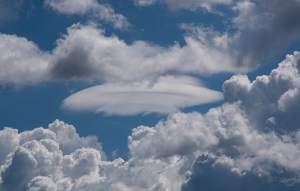 Von Türmchen, Fasern und Linsen 3 Von Tuermchen Fasern und Linsen 2