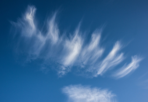 Von Türmchen, Fasern und Linsen 4 Von Tuermchen Fasern und Linsen 3