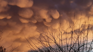 Von Türmchen, Fasern und Linsen 5 Von Tuermchen Fasern und Linsen 4