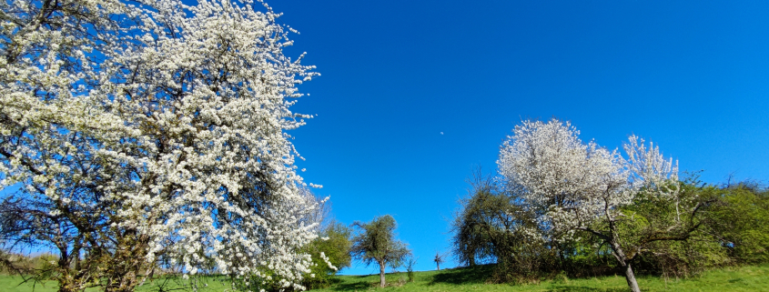 Warum ist der Himmel blau? – Und was hat die Luftfeuchtigkeit damit zu tun? 1 Warum ist der Himmel blau