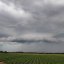 Der Geruch von Regen 1 Der Geruch von Regen