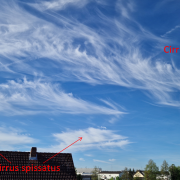 Facettenreicher Schoenwetterhimmel 1