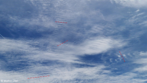 Facettenreicher Schoenwetterhimmel 5