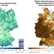 Wetter, Waldbrand, Wasserdurst 1
