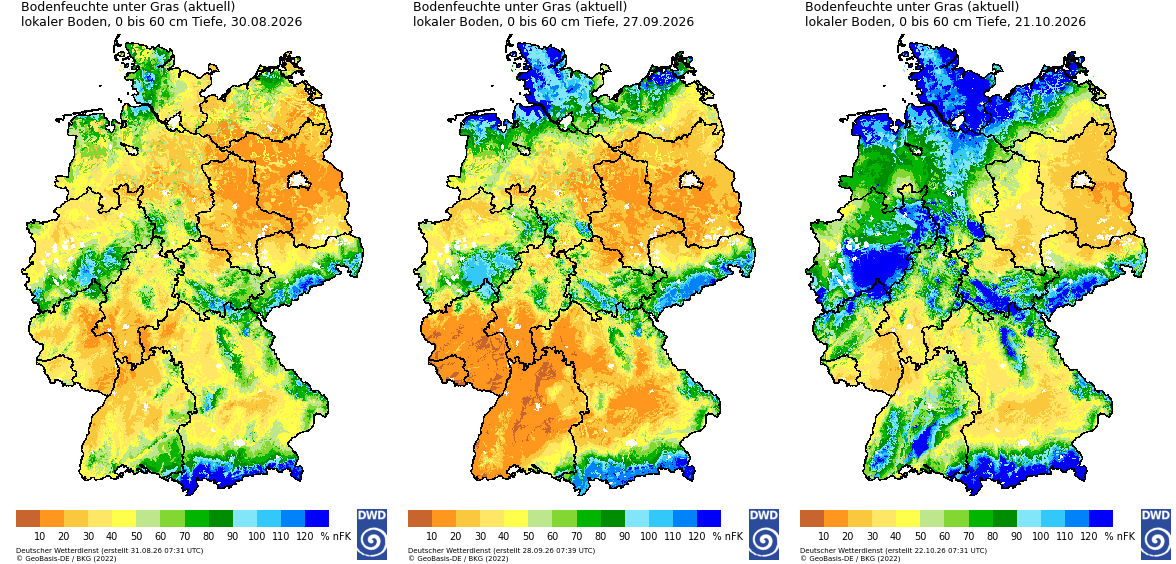 Bodenfeuchte unter Gras in 0–60 cm Tiefe am 30.08. (links), 27.09. (Mitte) und 21.10.2026 (rechts).