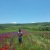 Profilbild von moare