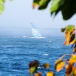 Profilbild von Cruiser