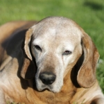 Profilbild von beba658