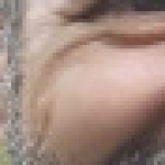 Profilbild von Carden