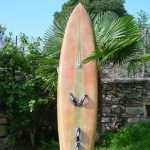 Profilbild von Danone