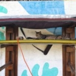 Profilbild von Lukas12