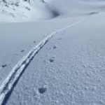 Profilbild von Kari Bee